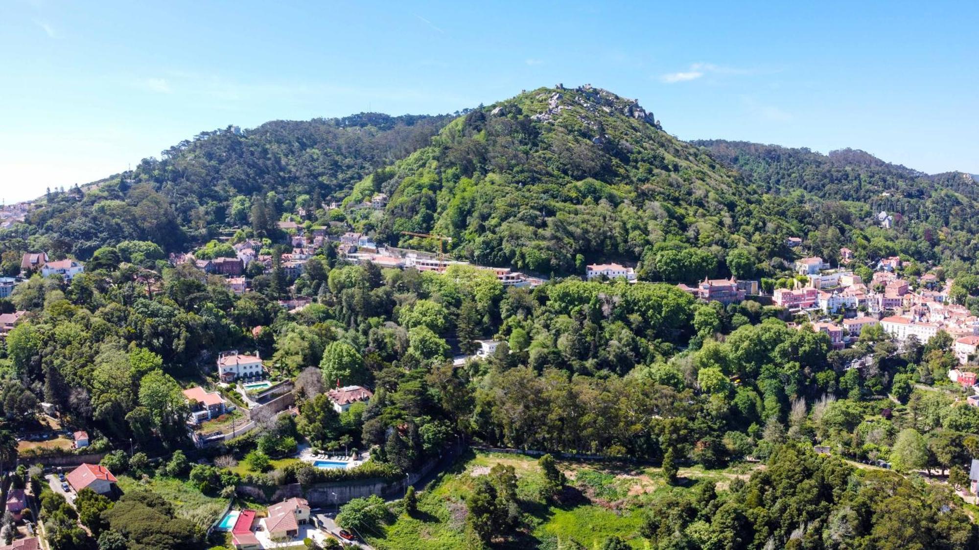 Luxurious Royal Estate In Historic Sintra Paradise Exterior photo